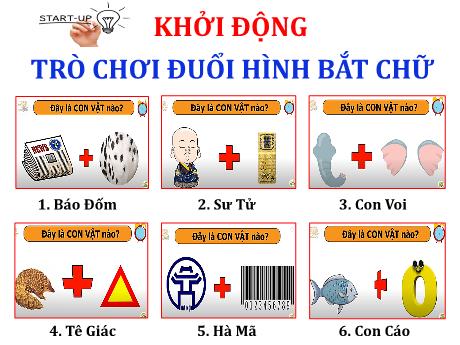 Bài giảng Địa lí Lớp 8 (Kết nối tri thức) - Bài 10: Sinh vật Việt Nam