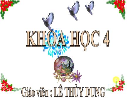Bài giảng Khoa học Lớp 4 - Bài: Nguyên nhân làm nước bị ô nhiễm - Lê Thùy Dung