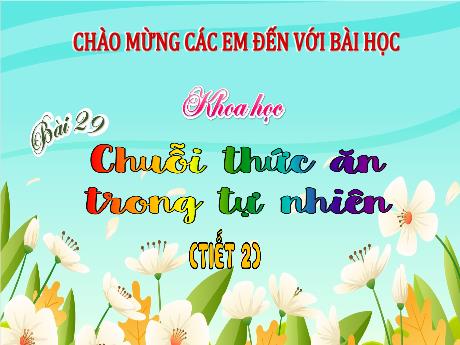 Bài giảng Khoa học Lớp 4 (Kết nối tri thức) - Bài 29: Chuỗi thức ăn trong tự nhiên (Tiết 2)