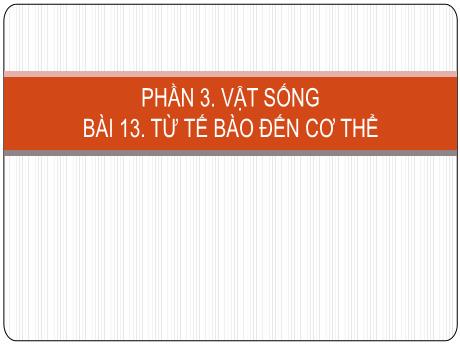 Bài giảng Khoa học tự nhiên Lớp 6 (Cánh diều) - Phần 3: Vật sống - Bài 13: Từ tế bào đến cơ thể