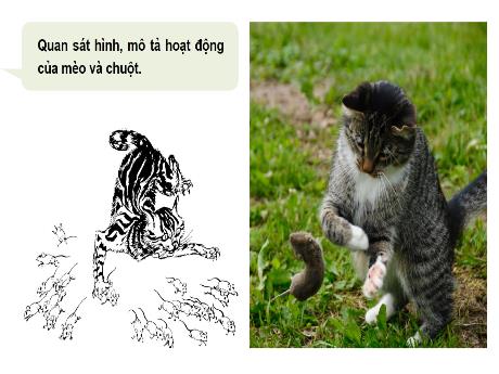Bài giảng Khoa học tự nhiên Lớp 7 (Cánh diều) - Bài 28: Tập tính ở động vật