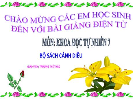 Bài giảng Khoa học tự nhiên Lớp 7 (Cánh diều) - Chủ đề 11: Sinh sản ở sinh vật - Bài 34: Các yếu tố ảnh hưởng đến sinh sản và điều khiển sinh sản ở sinh vật - Trương Thế Thảo