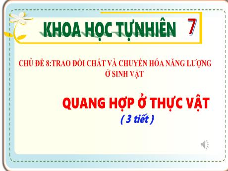 Bài giảng Khoa học tự nhiên Lớp 7 (Cánh diều) - Chủ đề 8: Trao đổi chất và chuyển hóa năng lượng ở sinh vật - Bài 18: Quang hợp ở thực vật