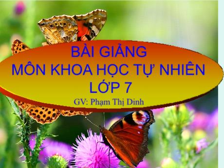 Bài giảng Khoa học tự nhiên Lớp 7 (Kết nối tri thức) - Bài 26: Một số yếu tố ảnh hưởng đến hô hấp tế bào - Năm học 2022-2023 - Phạm Thị Dinh