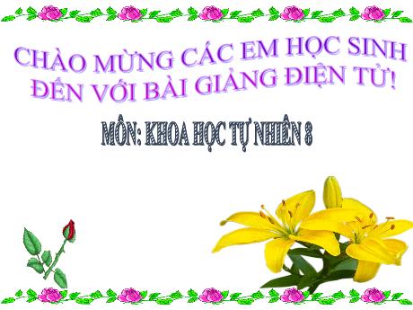 Bài giảng Khoa học tự nhiên Lớp 8 (Cánh diều) - Chủ đề 7: Cơ thể người - Bài 37: Sinh sản ở người