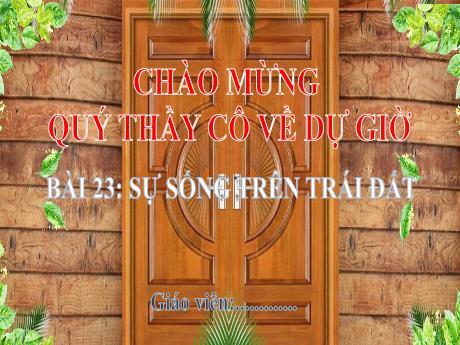 Bài giảng Lịch sử và Địa lí Lớp 6 (Kết nối tri thức) - Bài 23: Sự sống trên Trái đất