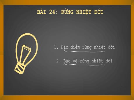 Bài giảng Lịch sử và Địa lí Lớp 6 (Kết nối tri thức) - Bài 24: Rừng nhiệt đới
