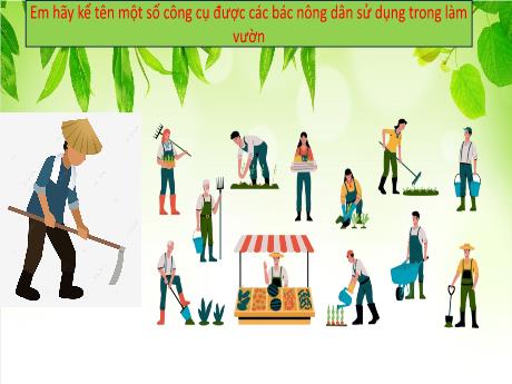 Bài giảng Lịch sử và Địa lí Lớp 6 (Kết nối tri thức) - Bài 6: Sự chuyển biến và phân hóa của xã hội nguyên thủy