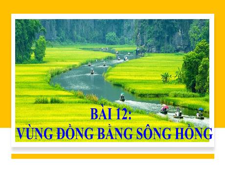 Bài giảng Lịch sử và Địa lí Lớp 9 (Kết nối tri thức) - Bài 12: Vùng đồng bằng sông Hồng (Tiết 1)
