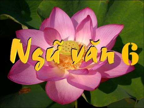 Bài giảng Ngữ Văn Lớp 6 (Cánh diều) - Bài: Trong lòng mẹ