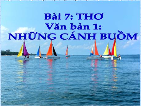 Bài giảng Ngữ Văn Lớp 7 (Cánh diều) - Bài 7: Những cánh buồm