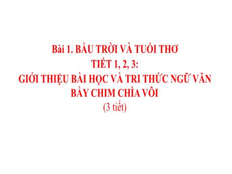 Bài giảng Ngữ Văn Lớp 7 (Kết nối tri thức) - Bài 1: Bầu trời và tuổi thơ - Tiết 1+2+3: Bầy chim chìa vôi