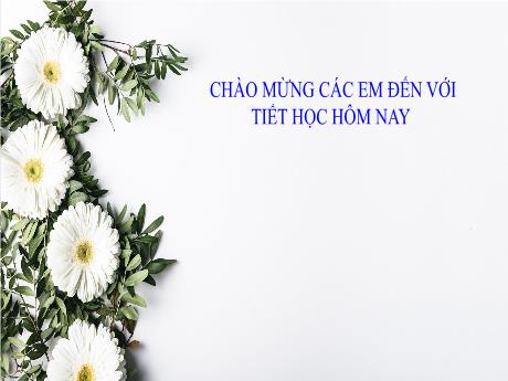 Bài giảng Ngữ Văn Lớp 8 (Kết nối tri thức) - Bài 6: Bếp lửa