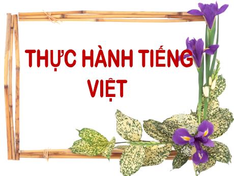 Bài giảng Ngữ Văn Lớp 9 - Bài: Thực hành Tiếng Việt