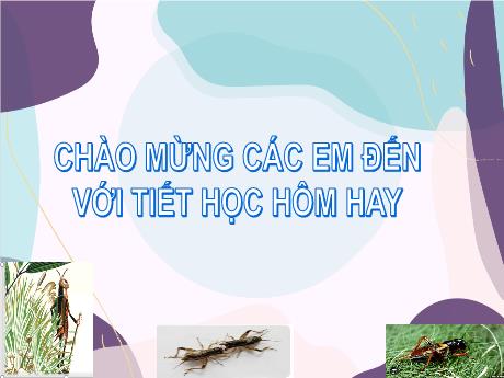 Bài giảng Ngữ Văn Lớp 9 (Cánh diều) - Bài 6: Truyện truyền kì và truyện trinh thám