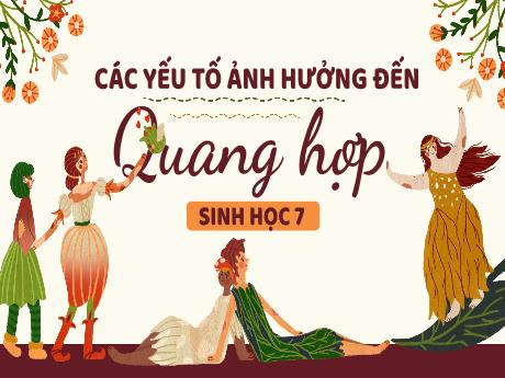 Bài giảng Sinh học Lớp 7 (Kết nối tri thức) - Bài: Các yếu tố ảnh hưởng đến quang hợp