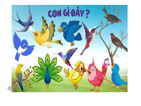 Bài giảng Tiếng Việt Lớp 2 (Nói và nghe) Sách Cánh diều - Bài: Quan sát đồ chơi hình 1 loài vật - Nguyễn Thị Phượng