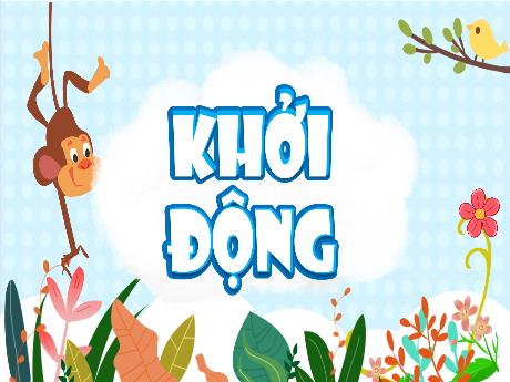 Bài giảng Toán Lớp 5 - Bài: Ôn tập hình phẳng (Tiết 1) - Phạm Thị Dung