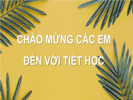 Bài giảng Toán Lớp 7 (Chân trời sáng tạo) - Bài 1: Hình hộp chữ nhật. Hình lập phương