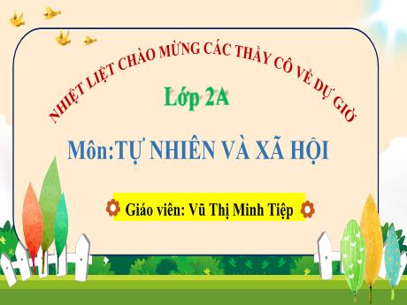 Bài giảng Tự nhiên xã hội Lớp 2 (Kết nối tri thức) - Bài 8: An toàn khi ở trường (Tiết 1) - Vũ Thị Minh Tiệp