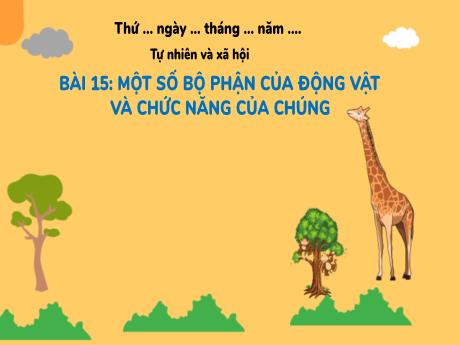 Bài giảng Tự nhiên xã hội Lớp 3 (Kết nối tri thức) -Bài 15:Một số bộ phận của động vật và chức năng của chúng