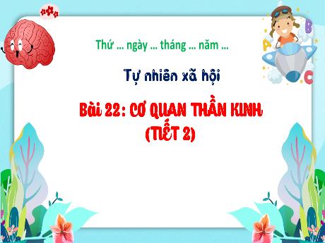 Bài giảng Tự nhiên xã hội Lớp 3 (Kết nối tri thức) - Bài 22: Cơ quan thần kinh (Tiết 2)