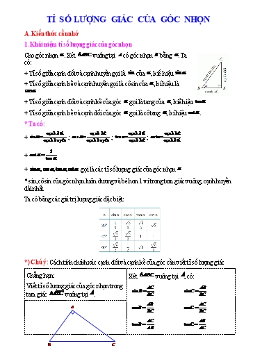 Chuyên đề bồi dưỡng học sinh giỏi Toán 9 (Kết nối tri thức) - Chủ đề: Tỉ số lượng giác của góc nhọn