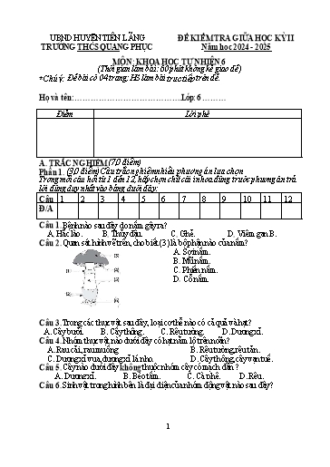 Đề kiểm tra Khoa học tự nhiên Lớp 6 giữa học kì II - Năm học 2024-2025 - Trường THCS Quang Phục